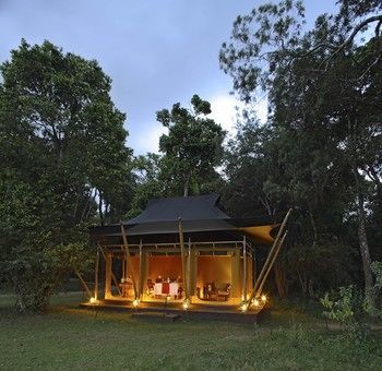 Elephant Pepper Camp 马赛马拉 外观 照片